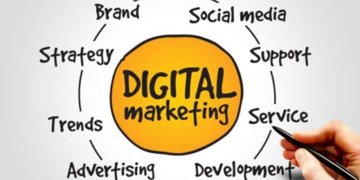 Best Digital Marketing Company In Chandigarh