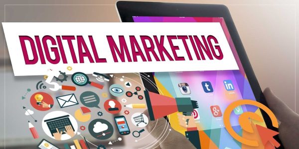 Digital marketing roles